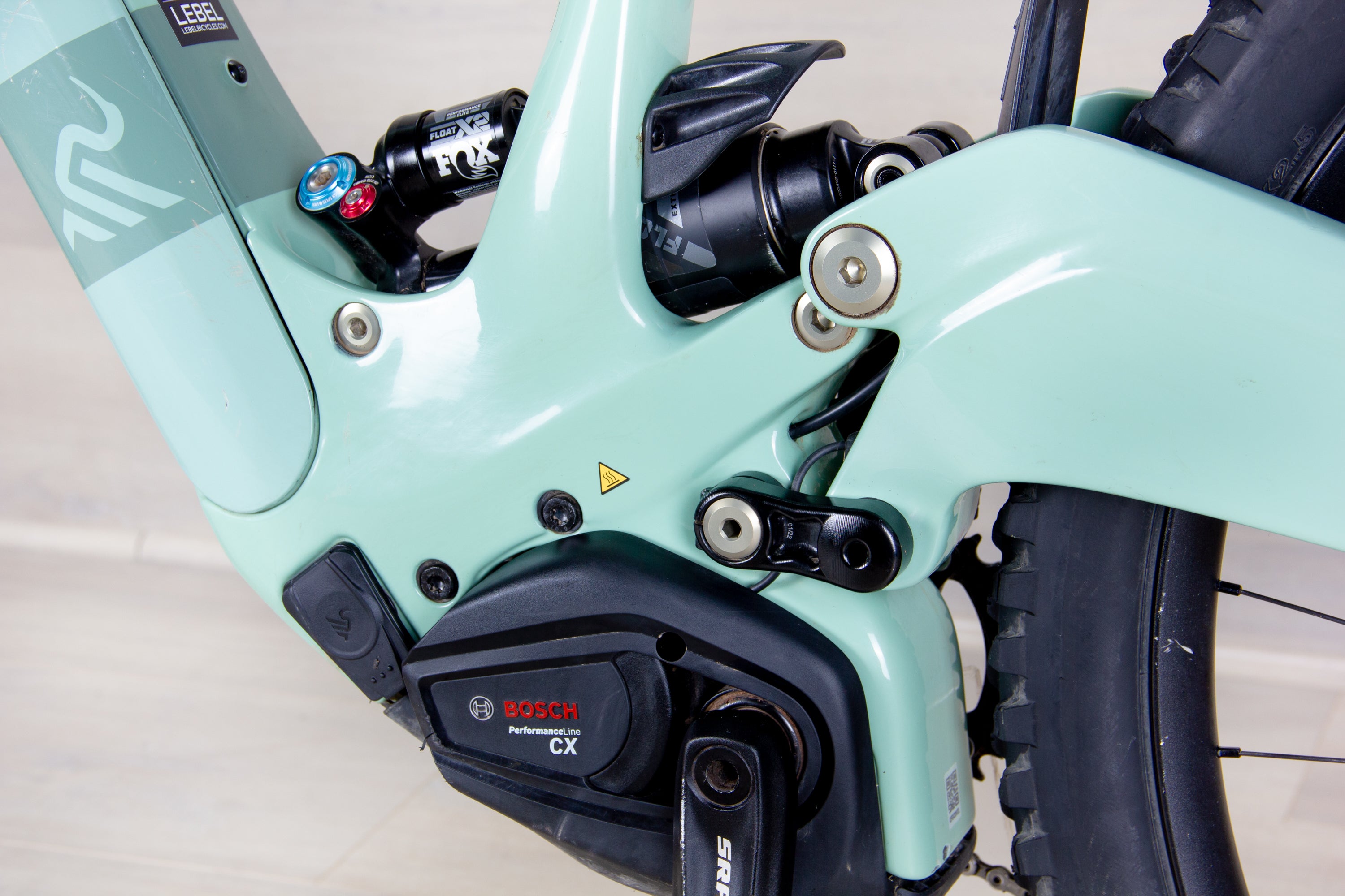 Ibis Oso - 2024, Large