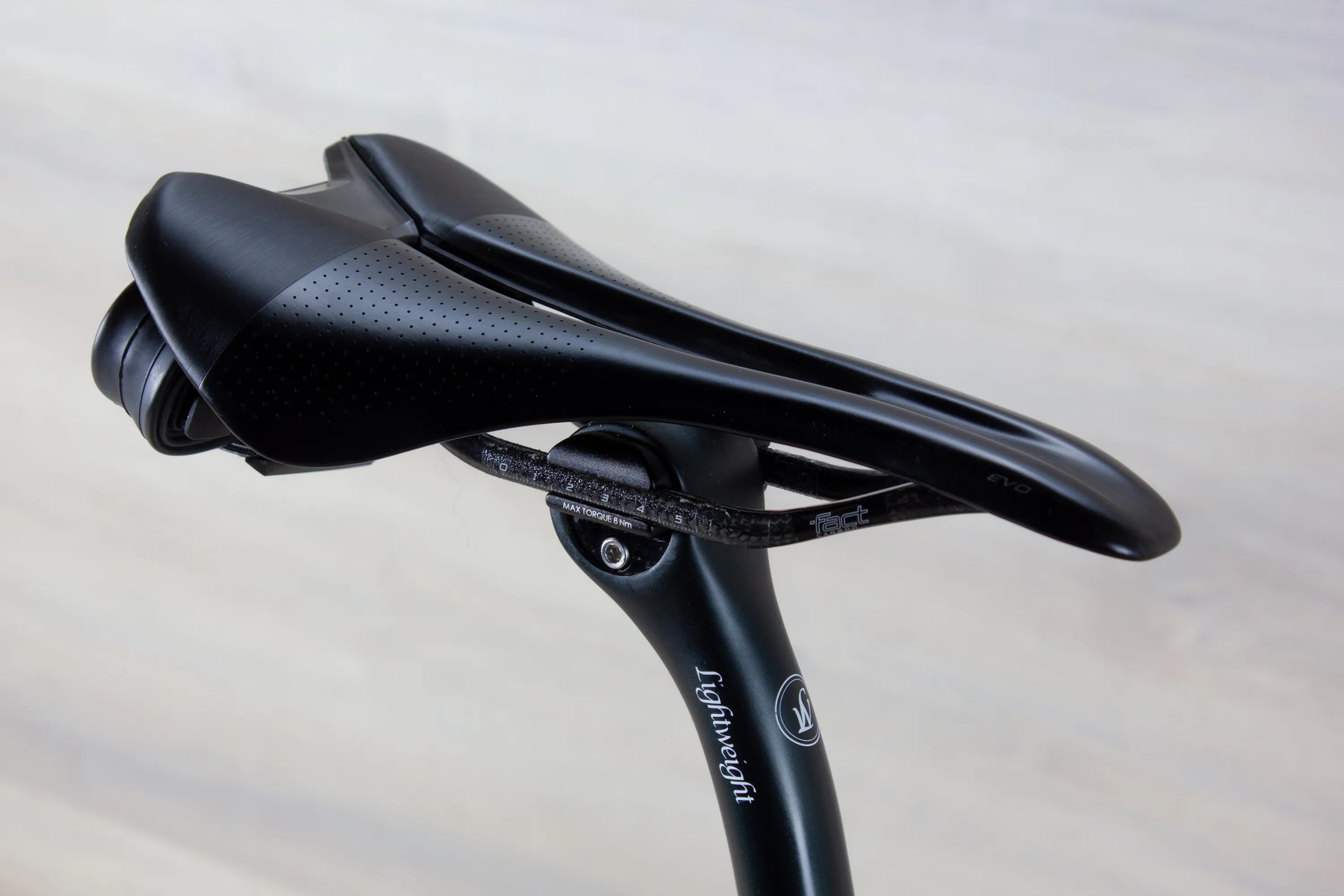 Lightweight Urgestalt - 2021, 56 cm