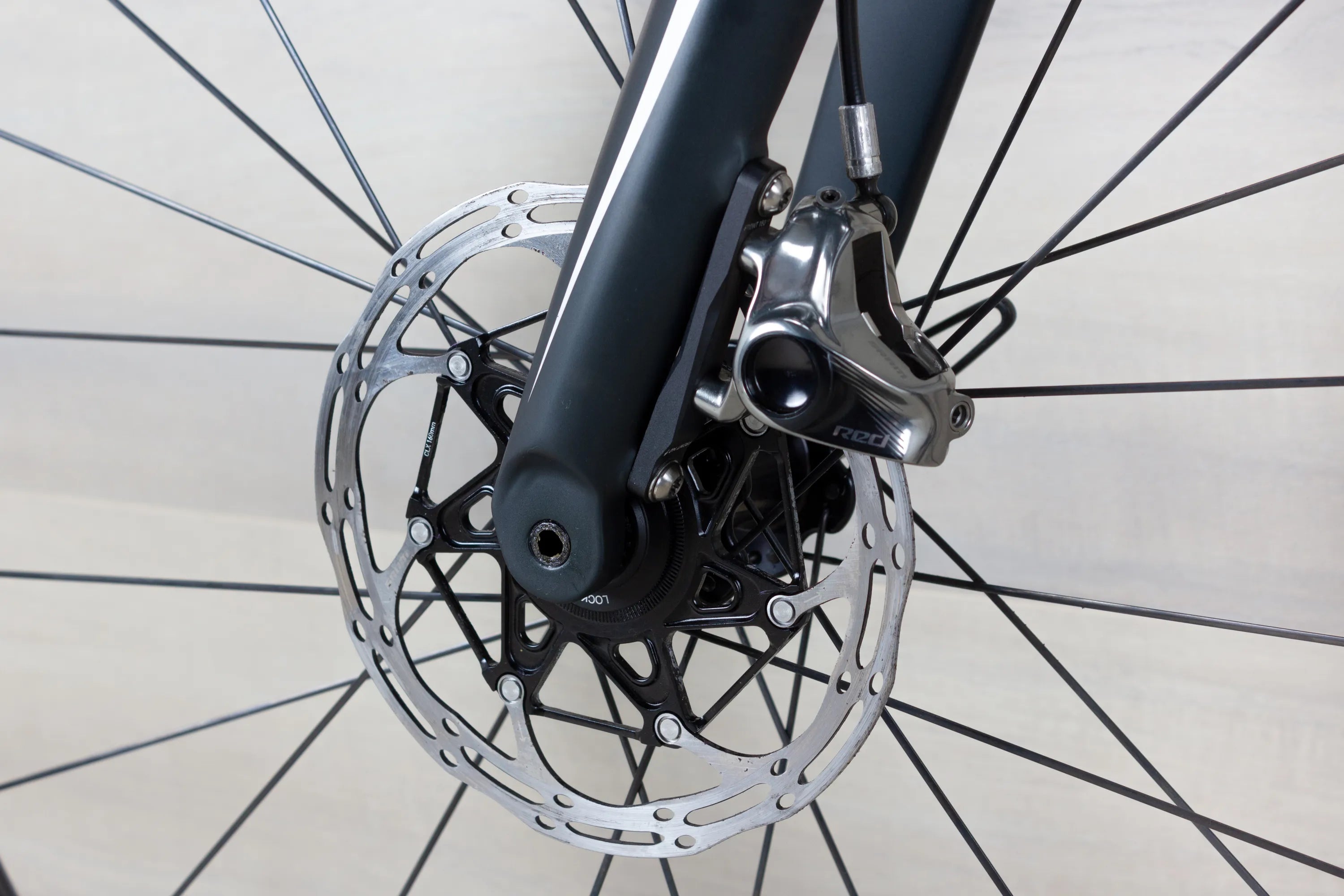Lightweight Urgestalt - 2021, 56 cm