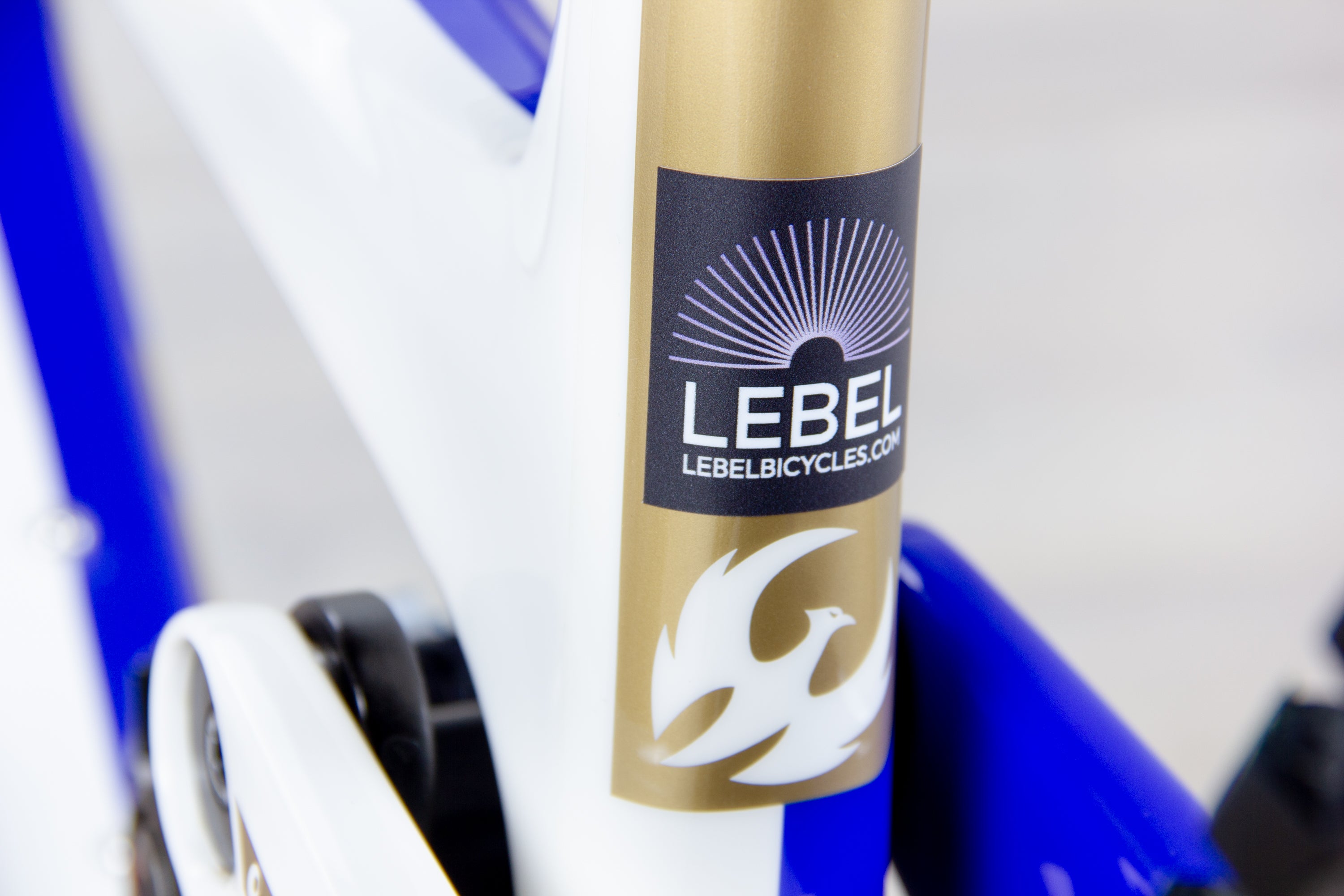 Pivot Firebird Pro XT/XTR Bike PFR Limited Edition - 2024, Large