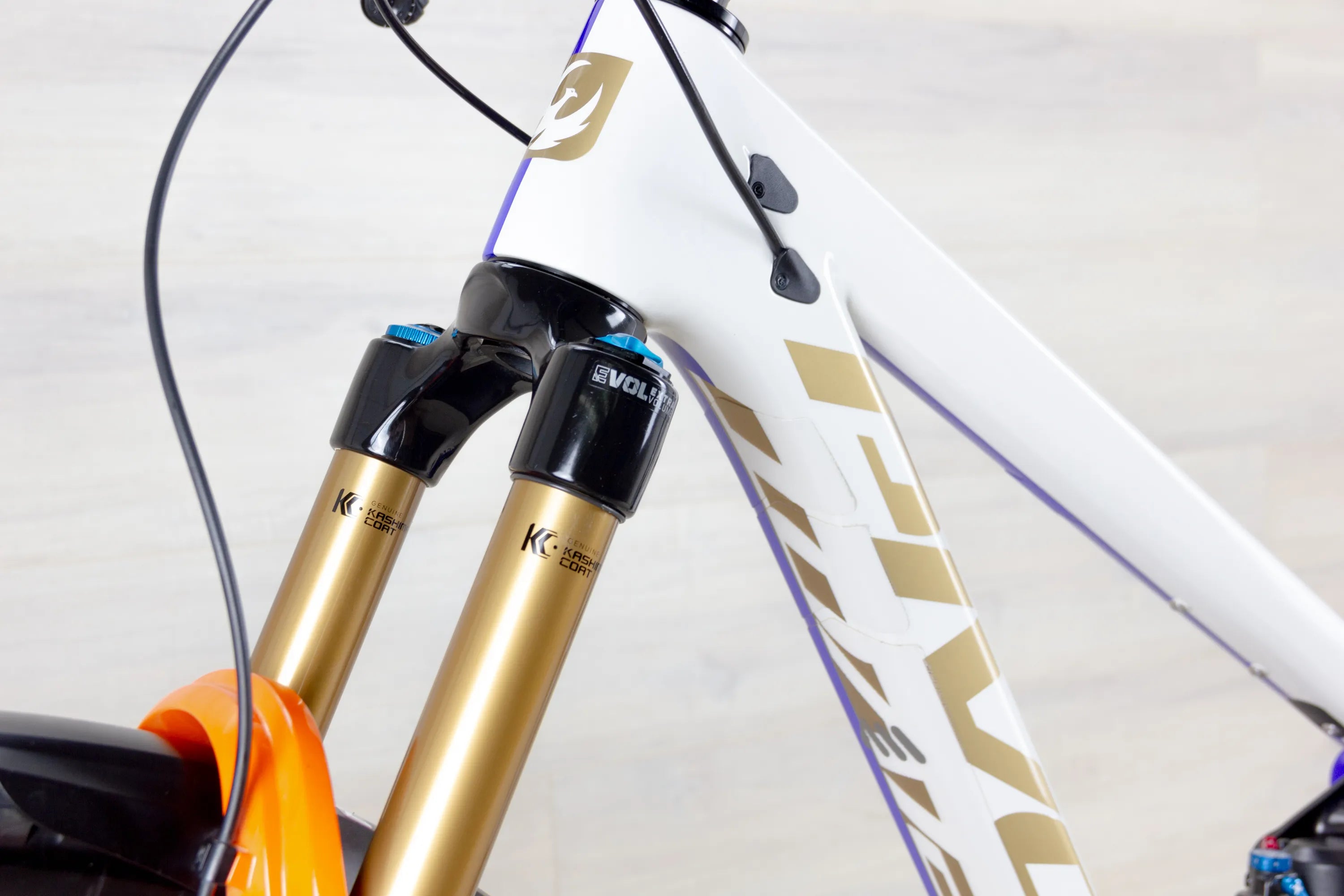 Pivot Firebird Pro X0 Eagle Transmission Bike PFR limited edition - 2024-25, Medium