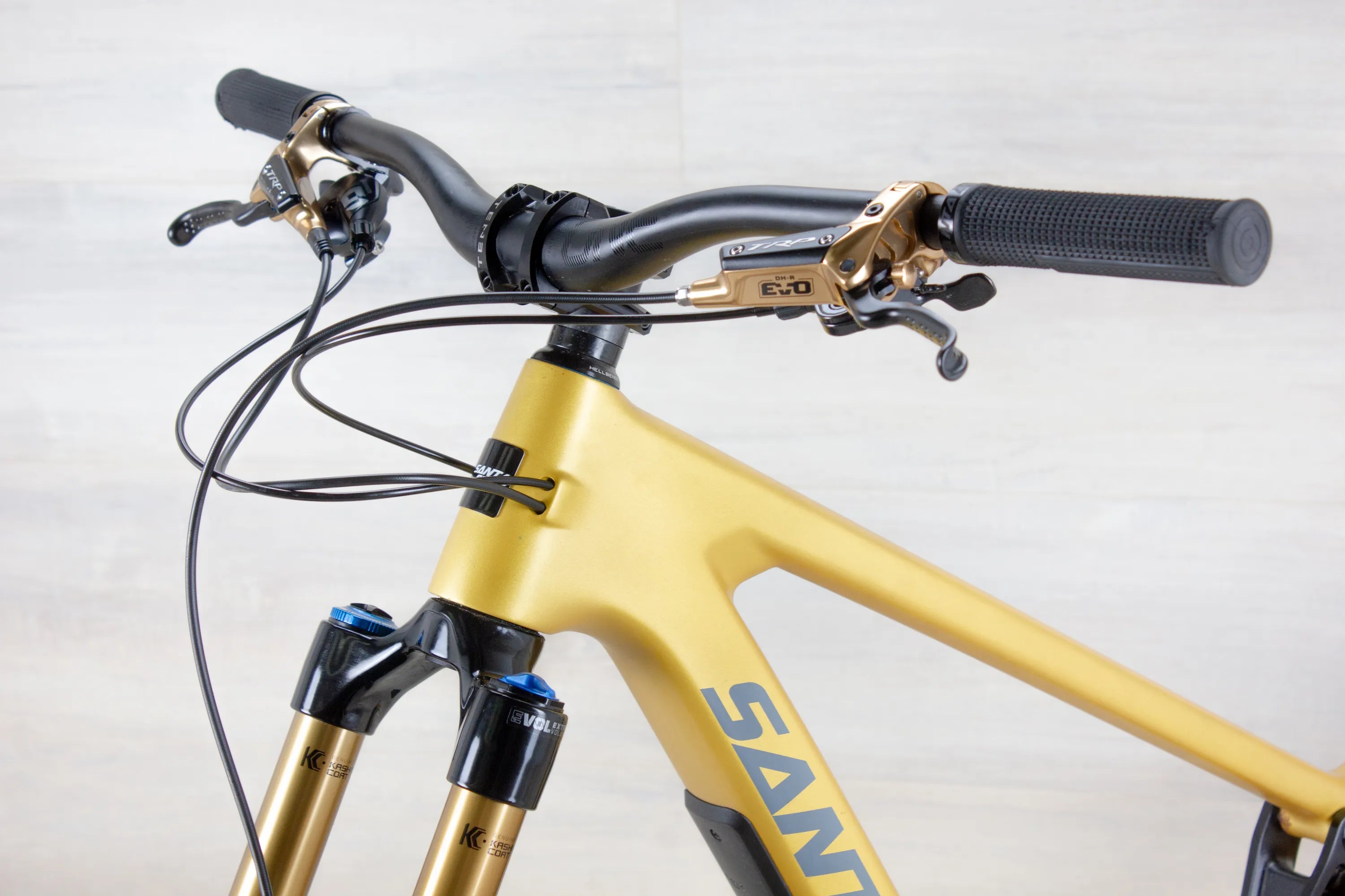 Santa Cruz Bronson C - 2023, Large