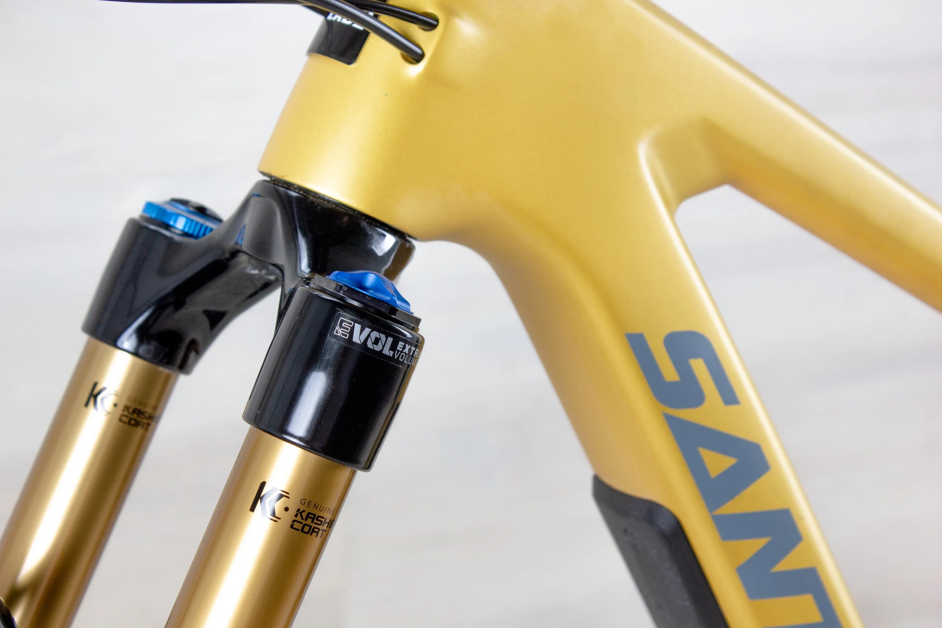 Santa Cruz Bronson C - 2023, Large