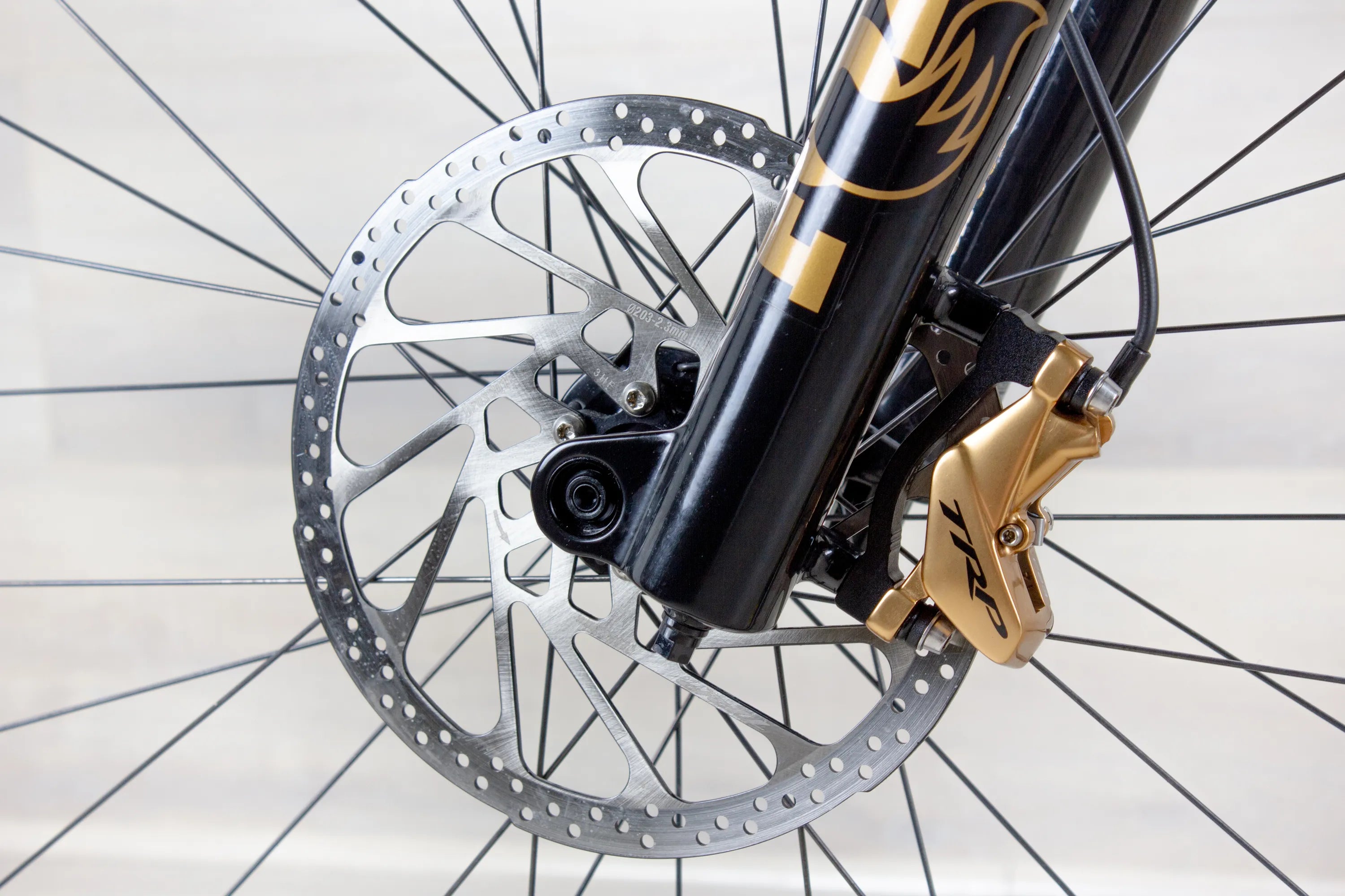 Santa Cruz Bronson C - 2023, Large