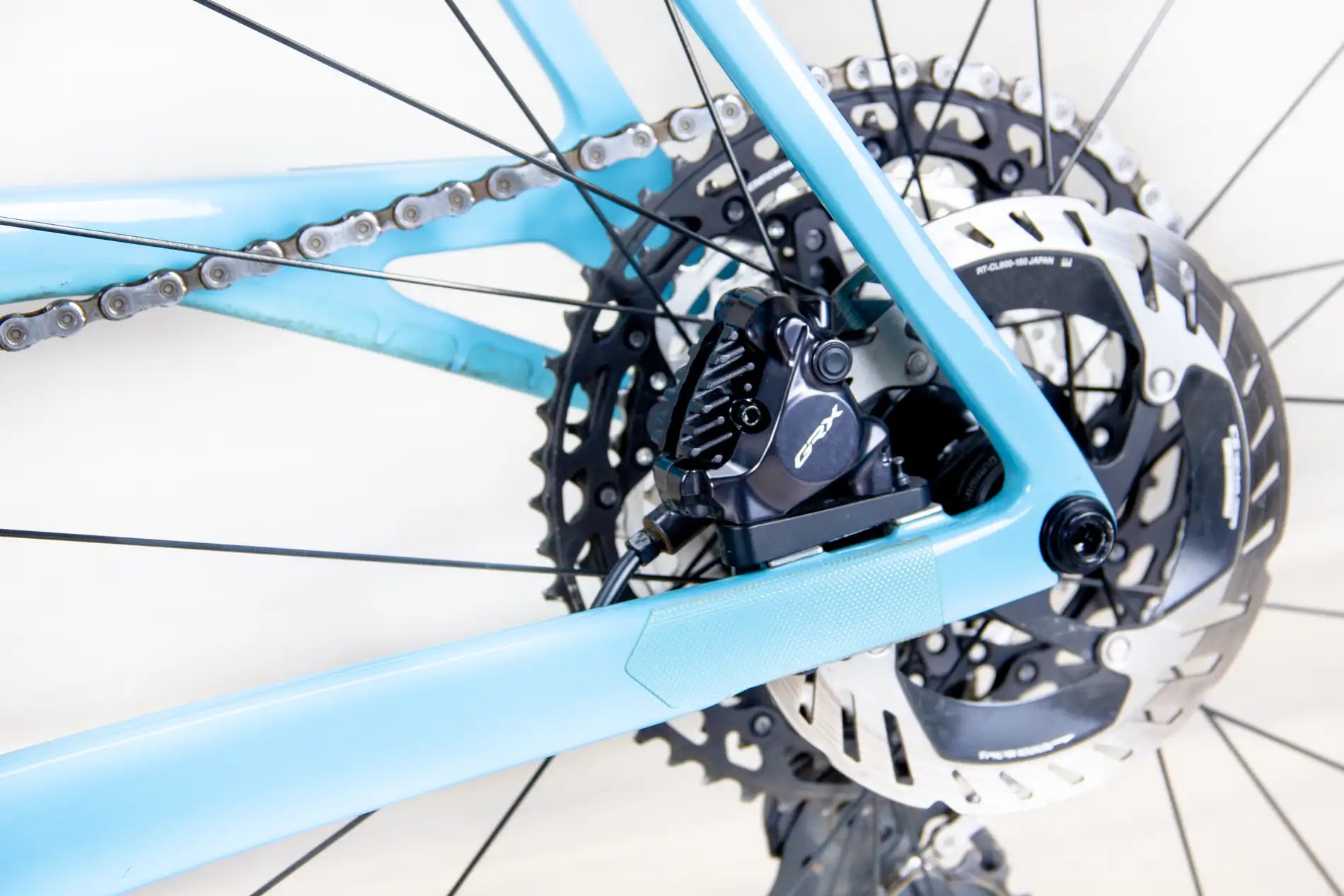 Allied Able - 2024, Small/54 cm