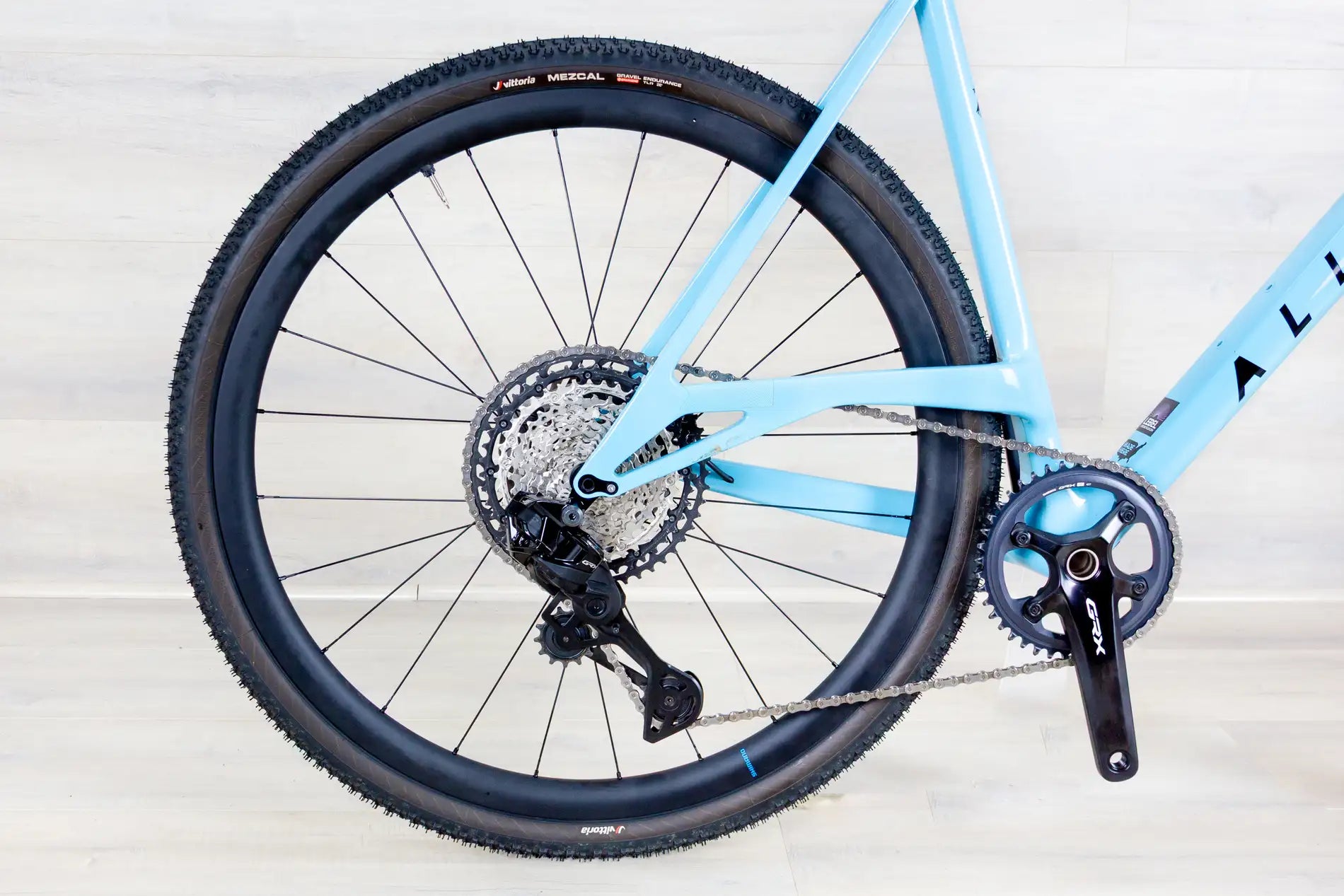 Allied Able - 2024, Small/54 cm