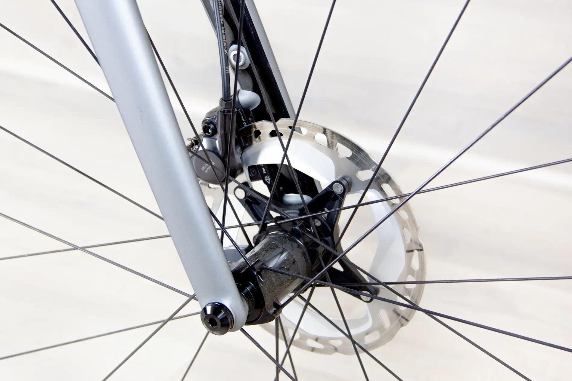 Cannondale Synopse 2 RLE - 2024, X-Large/61 cm