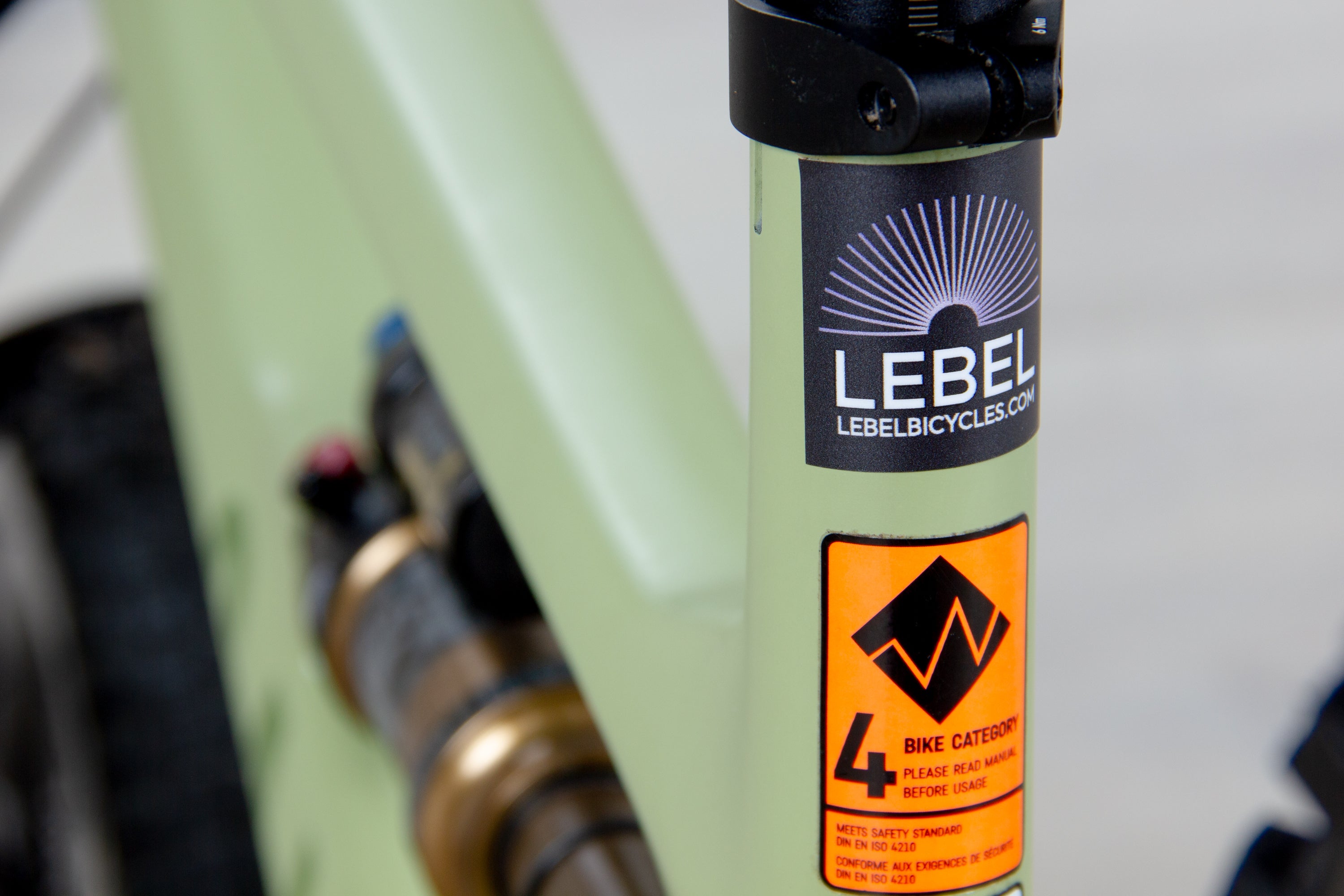 Canyon Spectral 29 CF 9 - 2023, Medium