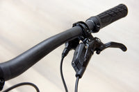 Canyon Spectral 29 CF 9 - 2023, Medium