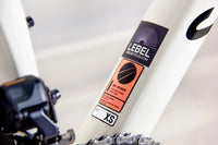 Canyon Endurace - 2024, X-Small