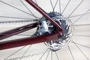 Canyon Endurace CF SLX - 2023, XX-Small