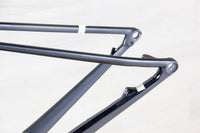 Canyon Exceed CF SL Frame - 2021, Medium