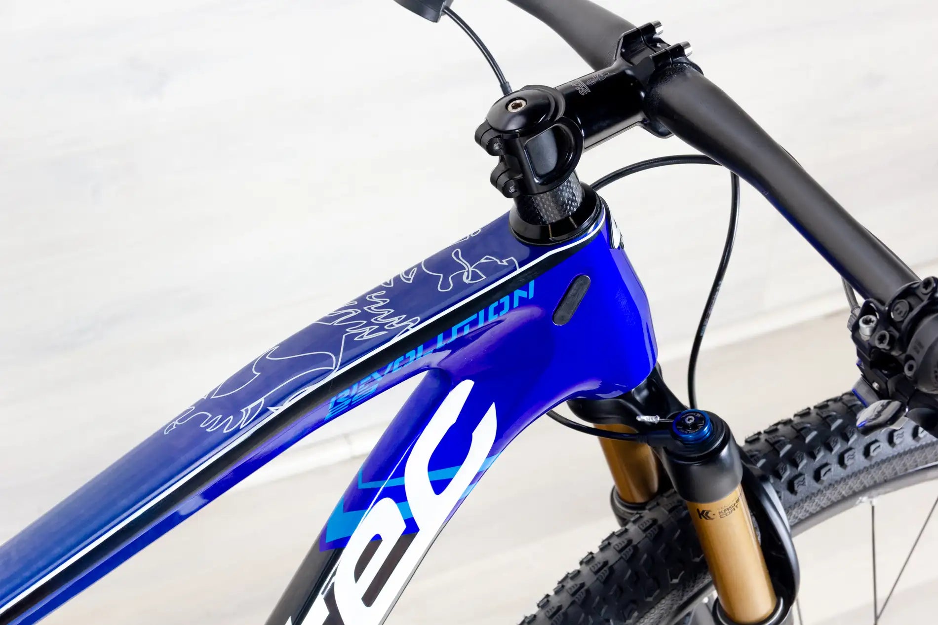 Corratec Revolution SL Factory - 2018, Large