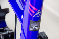 Forbidden Dreadnought - 2024, X-Large