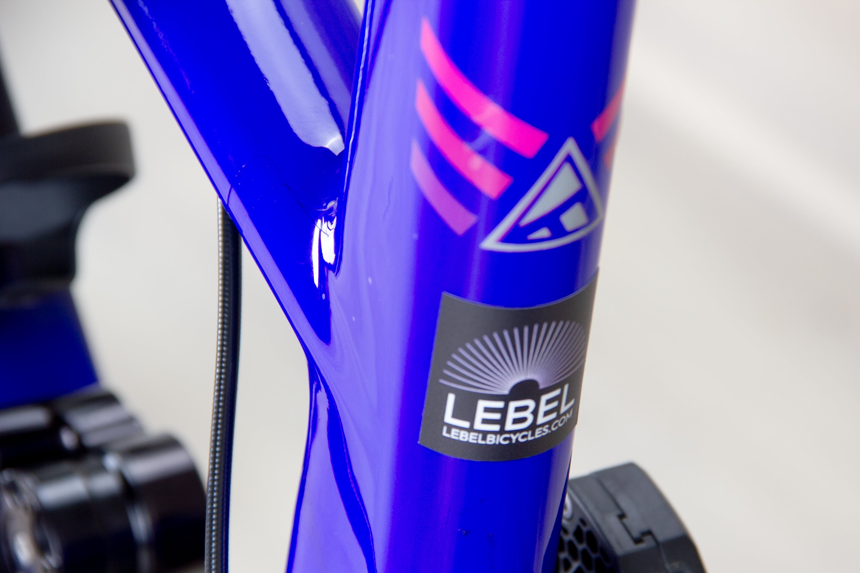 Forbidden Dreadnought - 2024, X-Large