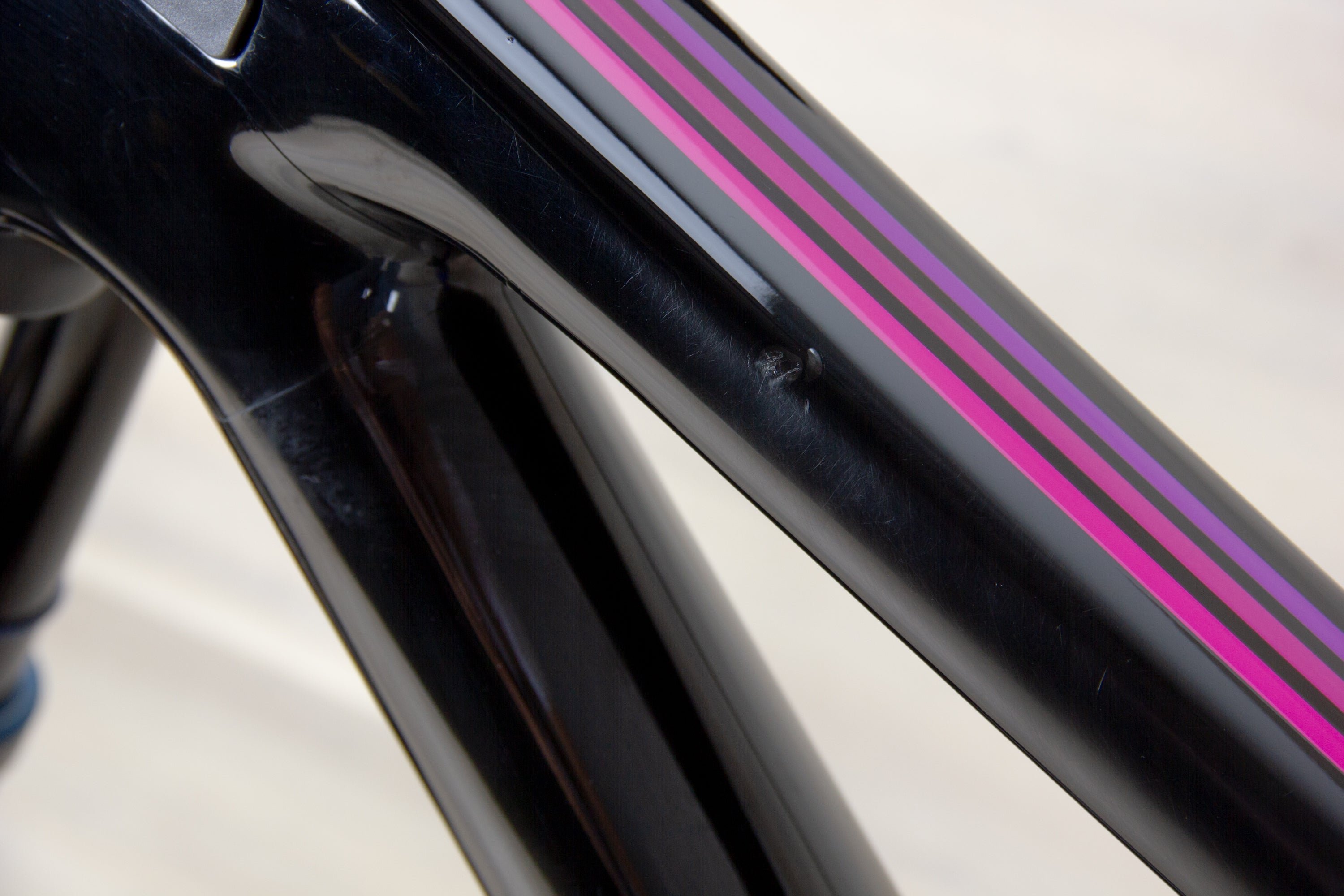 Forbidden Dreadnought - 2024, X-Large