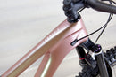 Giant Trance X Advanced Pro 29 SE - 2024, Medium