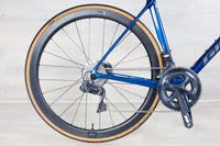 Giant TCR Advanced Pro 0 - 2021, Medium/Large