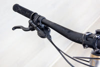 Giant Trance Advanced 2 - 2020, Medium