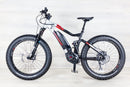 Haibike XDuro FullFatSix 10.0 - 2020, Large