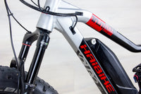 Haibike XDuro FullFatSix 10.0 - 2020, Large