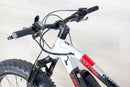 Haibike XDuro FullFatSix 10.0 - 2020, Large