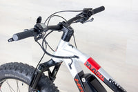 Haibike XDuro FullFatSix 10.0 - 2020, Large