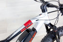 Haibike XDuro FullFatSix 10.0 - 2020, Large