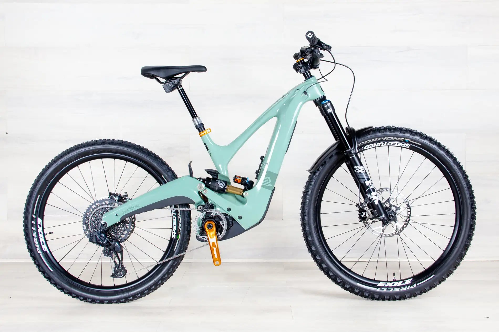 Ibis Oso - 2023, Small