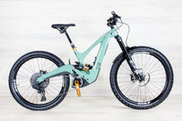 Ibis Oso - 2023, Small