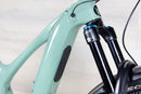 Ibis Oso - 2023, Small