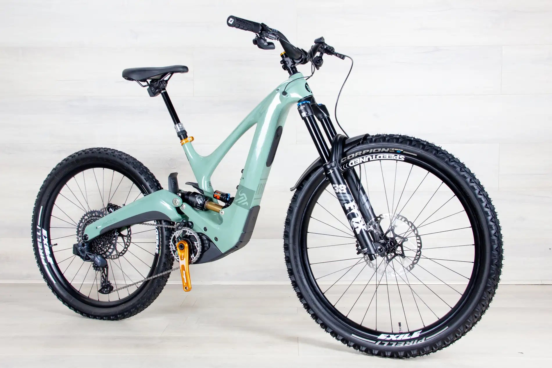 Ibis Oso - 2023, Small