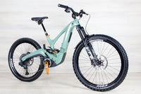 Ibis Oso - 2023, Small