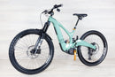 Ibis Oso - 2023, Small