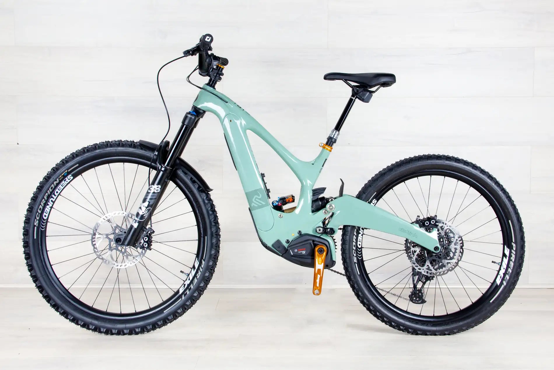 Ibis Oso - 2023, Small