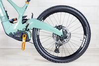 Ibis Oso - 2023, Small