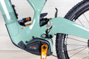 Ibis Oso - 2023, Small