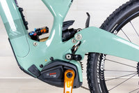 Ibis Oso - 2023, Small