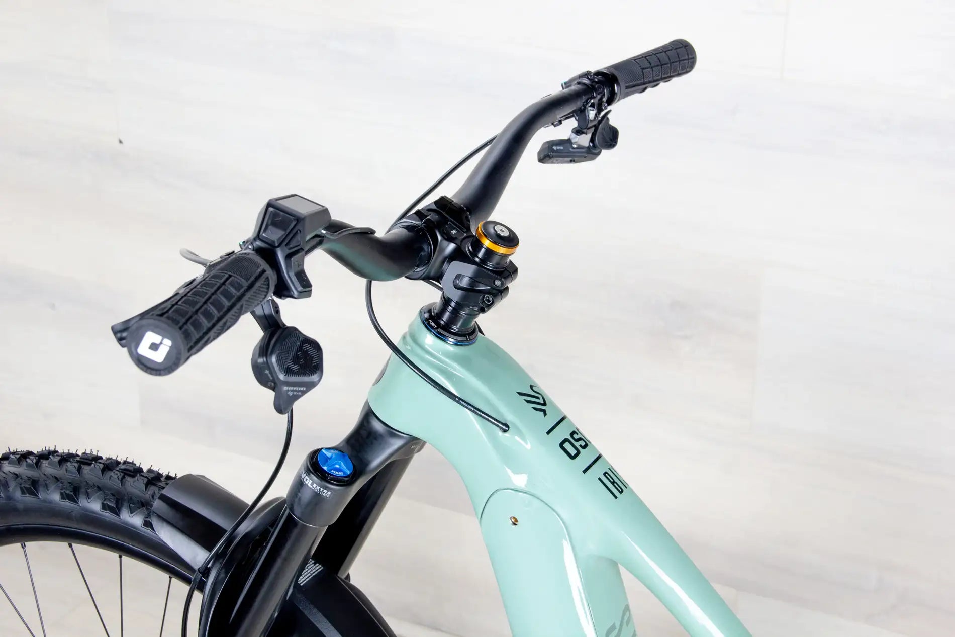 Ibis Oso - 2023, Small