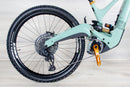 Ibis Oso - 2023, Small