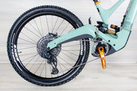 Ibis Oso - 2023, Small