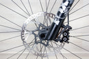 Ibis Oso - 2023, Small