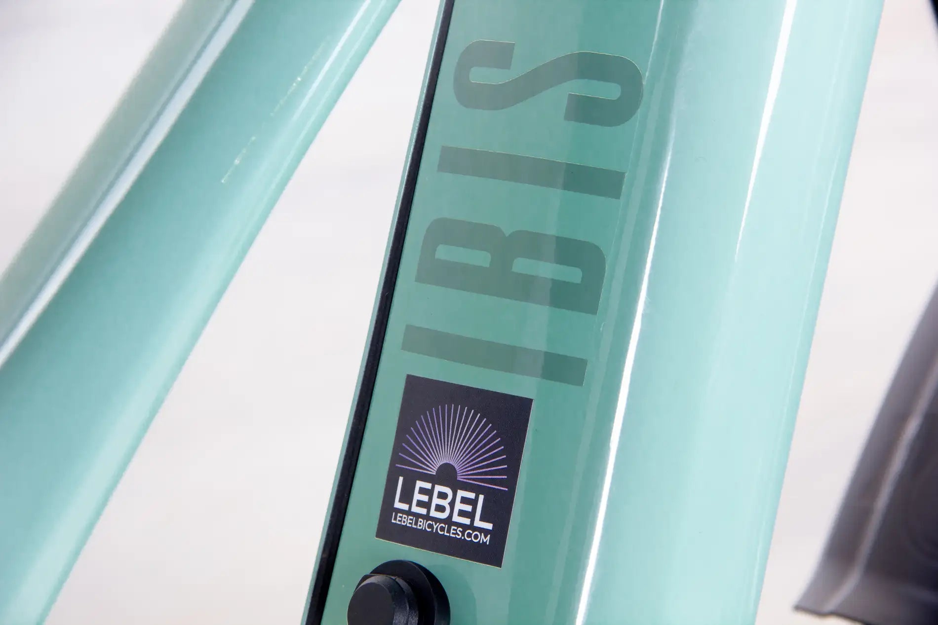 Ibis Oso - 2023, Small
