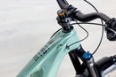 Ibis Oso - 2023, Small