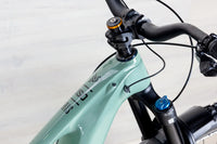 Ibis Oso - 2023, Small