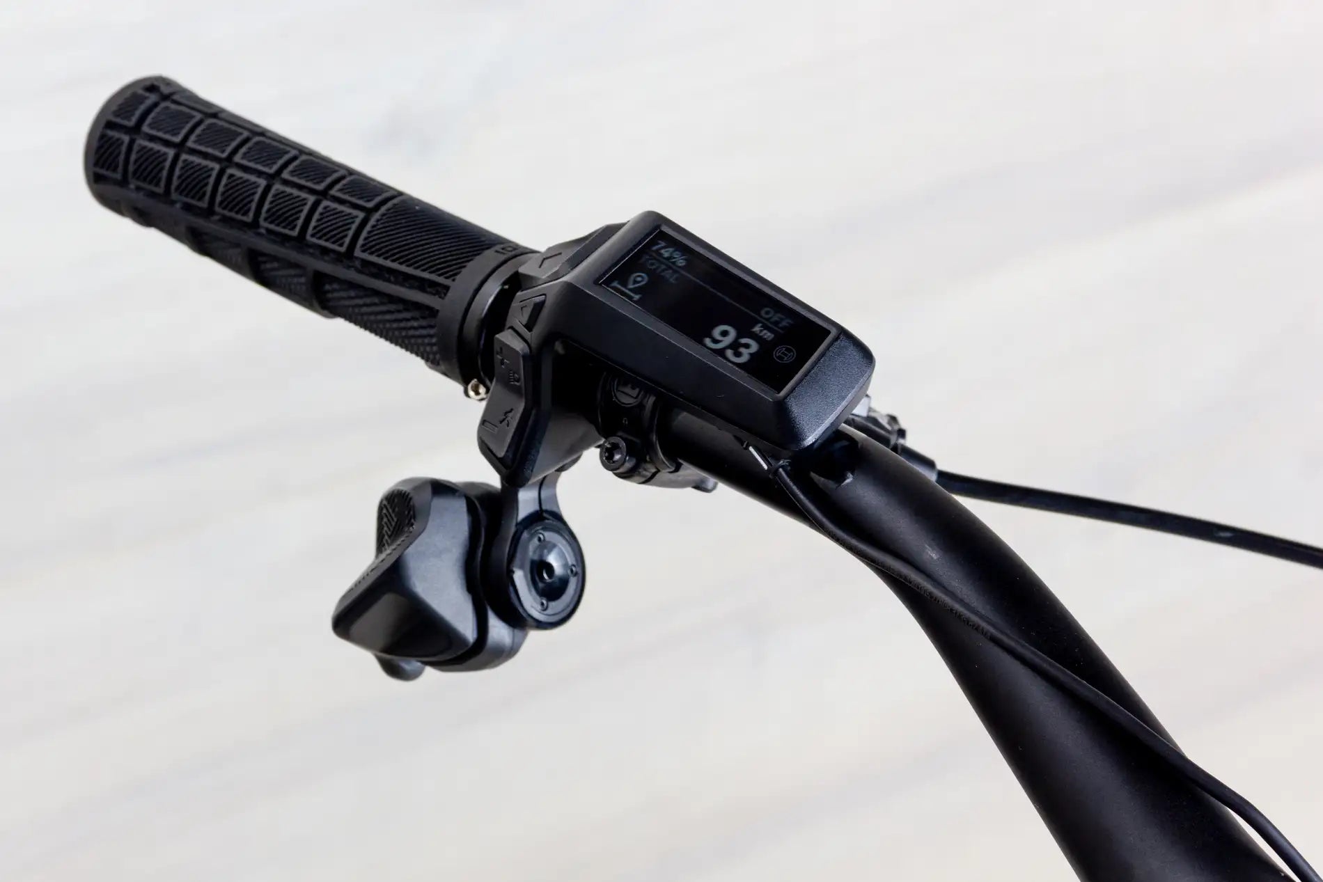 Ibis Oso - 2023, Small