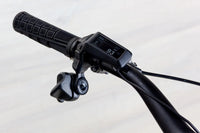 Ibis Oso - 2023, Small