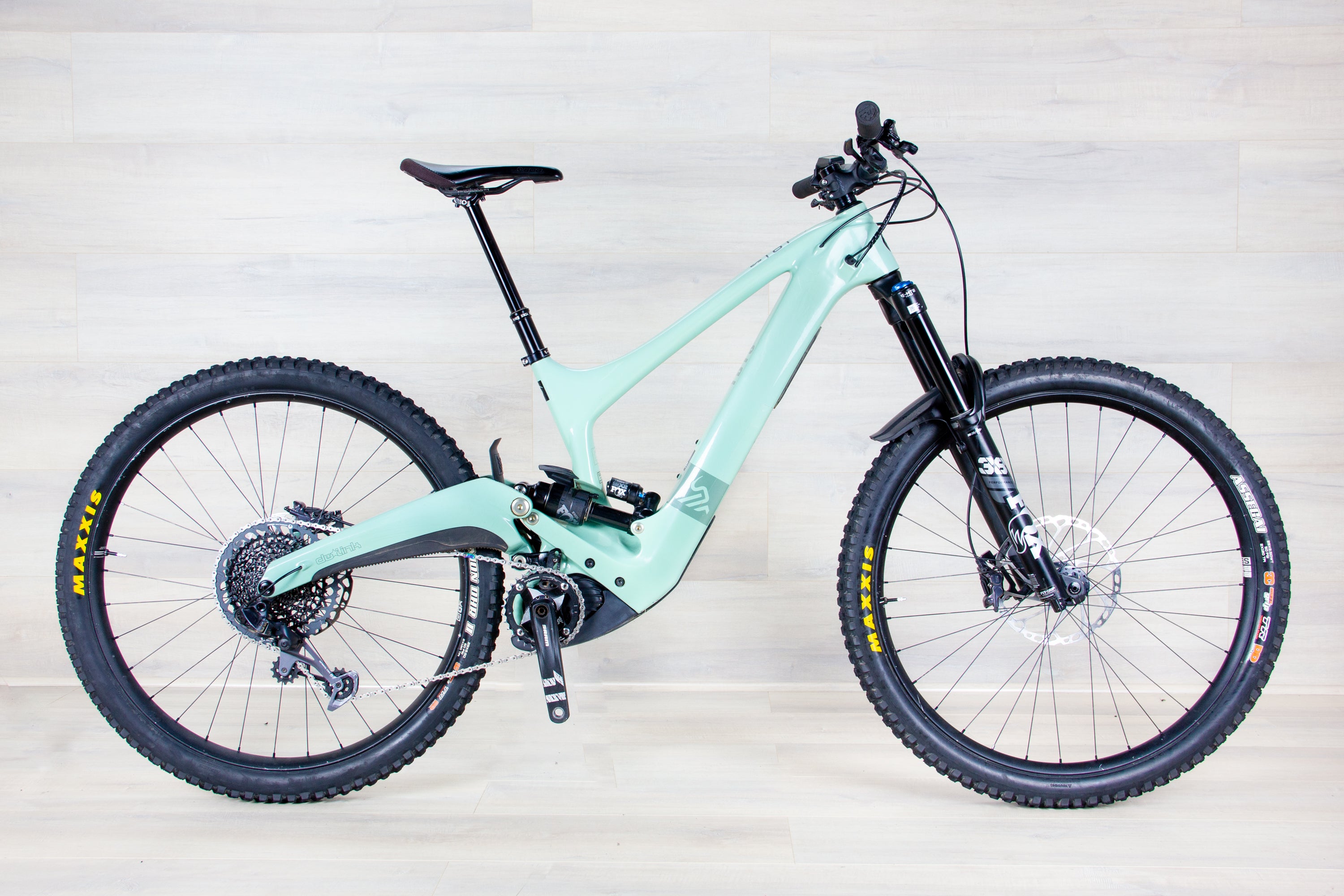 Ibis Oso - 2024, Large