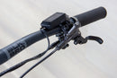 Ibis Oso - 2024, Large