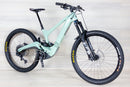 Ibis Oso - 2024, Large
